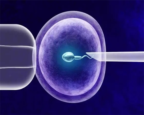 深圳代孕价格-深圳代孕技术-优质蛋白质的作用和来源,孕妈赶紧看这里!