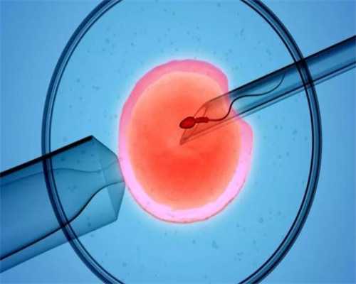 中国国内生产的童鞋品牌排行榜大全、十大名牌
