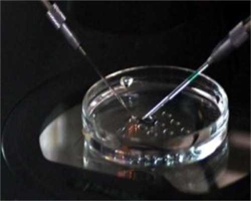 有没有适合孕妇吃的奶粉啊，哪种好点呢?