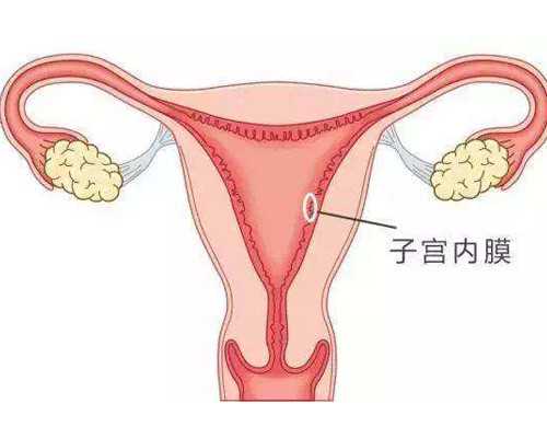 深圳代孕是不是违法_深圳代孕中介哪家正规【深圳代孕新技助力，万千家庭“