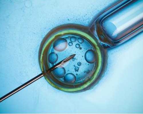 深圳代孕服务-深圳代孕怎么完成-深圳可靠的代孕服务费用