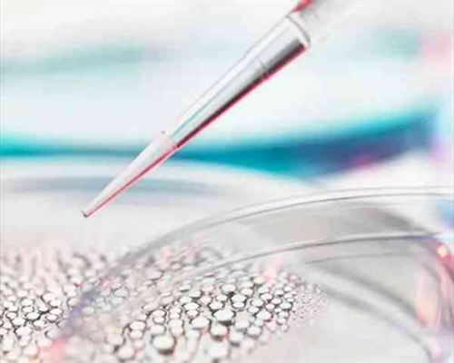 试管能给红包选性别吗·少精弱精吃麒麟丸需谨慎!千万别忽视这4大副作用