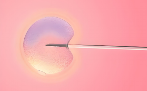 武汉借卵做试管的费用~武汉代怀生子多少钱~武汉代怀生孩子