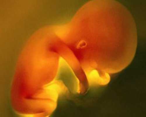 家庭生活式早教蔚然成风