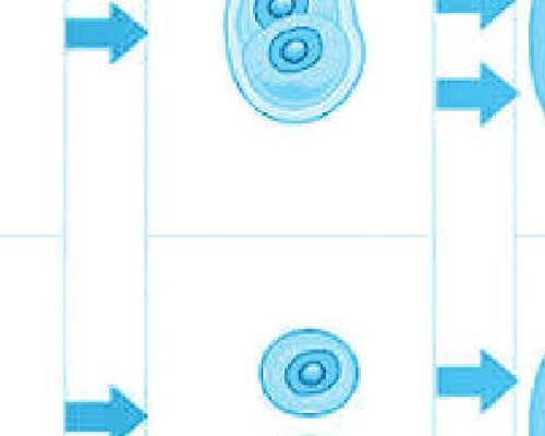深圳代怀孕能要龙凤胎吗,[深圳武警医院试管婴儿清水河]试管婴儿龙凤胎费用价