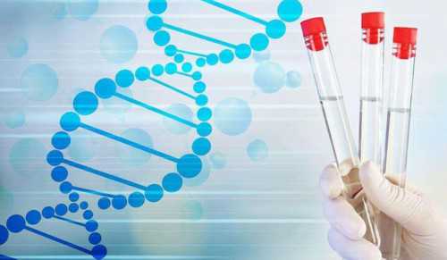 深圳现在还有代孕-深圳代孕违法吗【破译生育基因密码,创造不孕不肓奇迹】