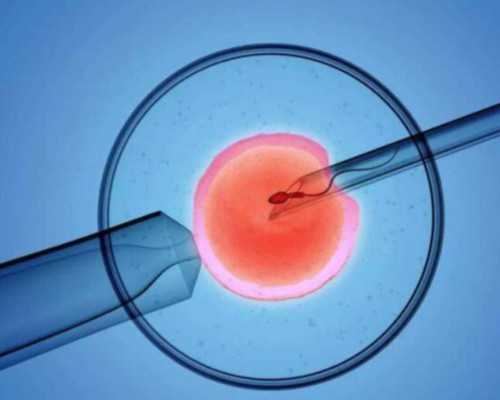 供卵试管的私立医院，深圳供卵机构有哪些