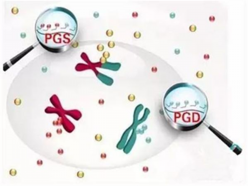 代孕总计费用要多少钱,腰不好对代孕有影响吗