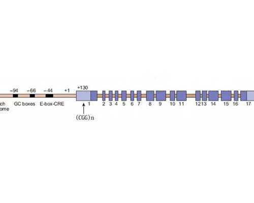 昆明试管代生小孩，(昆明供卵代生机构)云南第三代供卵试管婴儿医院排名？附