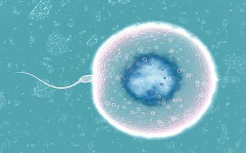 找人供卵试管生孩子要多少钱,代生双胞胎机构