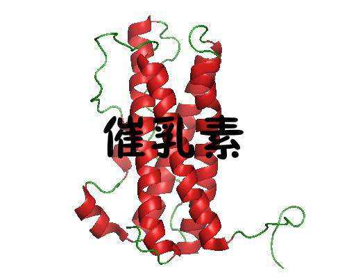 深圳代孕网-深圳哪里有代孕的-深圳在哪可以找到代孕的
