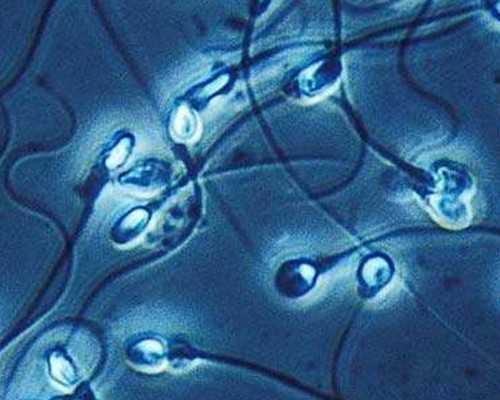 卵泡多大算成熟排出体外,多大的卵泡叫优质的卵泡