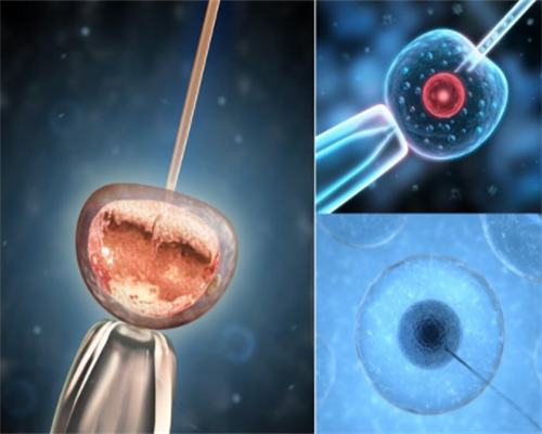 石家庄有正规医院可以做供卵试管婴儿的吗?附石家庄供卵试管医院名单?