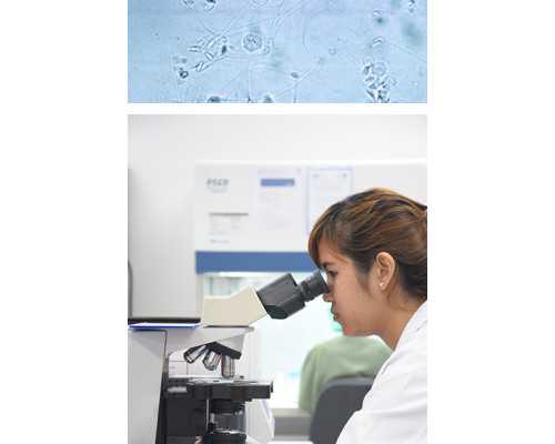 深圳公立医院供卵试管中心,你好，想咨询一下深圳哪家医院做试管婴儿成