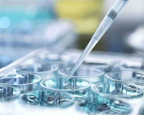 深圳最好代怀公司_试管论坛奶茶店柠檬水怎么做(男人长期喝柠檬水有什么好处