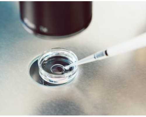 上海高龄借卵价格，卵巢肿瘤做供卵试管做哪些检查