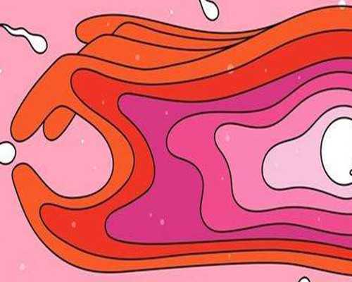 深圳代怀如何包性别,2026年深圳罗湖医院能做第三代试管婴儿吗?