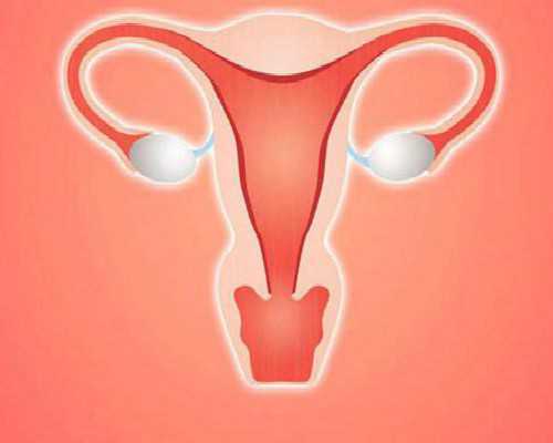 深圳代孕公司-深圳做代孕哪家医院好-孕期单纯疱疹病毒3.3正常吗