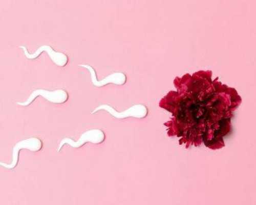 深圳代孕群qq号,深圳试管成功率排名哪些医院比较好？