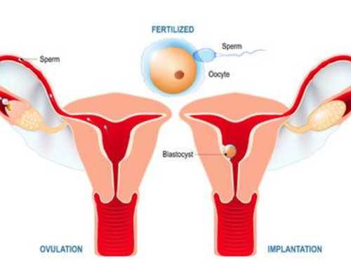 深圳少儿医保办理指南：参保条件、流程、网点抢先看