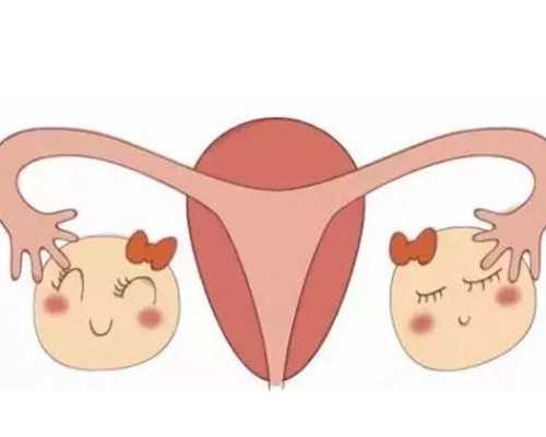 借腹供卵试管生子卵子是谁的,国内哪些医院可以做供卵试管婴儿？国内供卵试