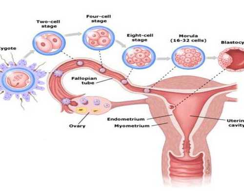 福州赠卵需要等多久,福州有哪几家医院可以做供卵三代试管？