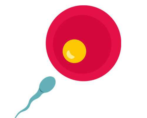 深圳新闻--“国庆假期或有近8亿人次出游 上国外滩位列热门景区前3”