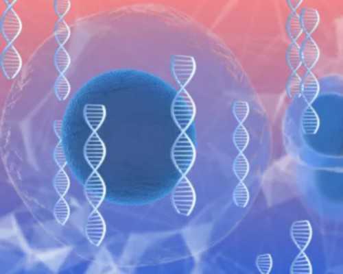 生丰国际深圳代孕试管_准妈妈口味为何会改变