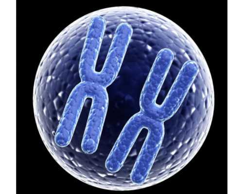 南京供卵生孩子,北京买一个卵子大概多少钱?火箭军总医院有供卵试管吗?