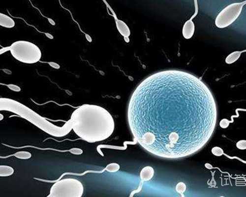 深圳代生包成功-深圳代孕好妈妈【深圳科学助孕，攻克不孕不育难题】