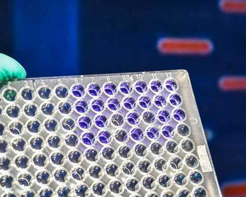 哪里做试管包男孩,子宫仅有1～3厘米长是始基子宫?细说什么是始基子宫