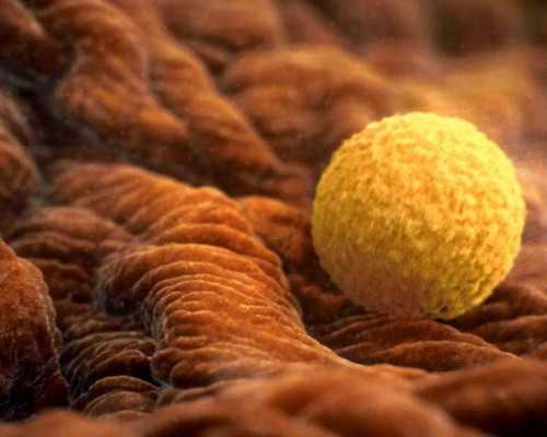 深圳代怀孕网-代生小孩深圳-帮别人代生孩子需要