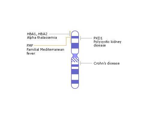 韩国·超感人亲情多媒体剧《外套》
