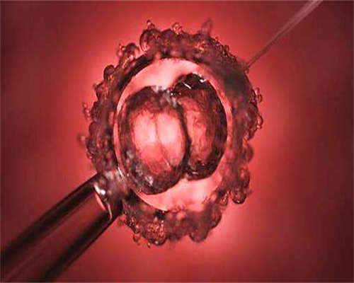 深圳正规代孕_深圳做代孕哪些医院_孕妇感冒吃梨好吗