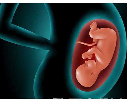 呼和浩特医院供卵要多少钱，呼和浩特正规供卵助孕中心