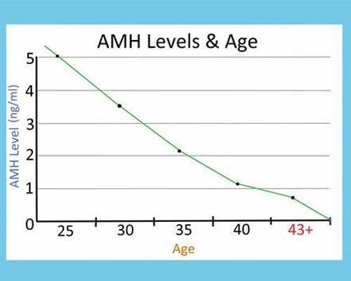 深圳有收卵子的吗,深圳做试管婴儿费用有哪些?不成功还要收费吗?