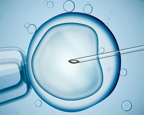 最靠谱的供卵公司_代怀包成功哪家公司好