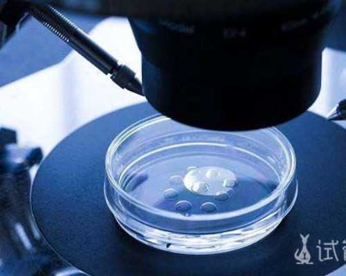 深圳供卵助孕贴吧群微信,深圳试管私人机构排名费用多少钱？