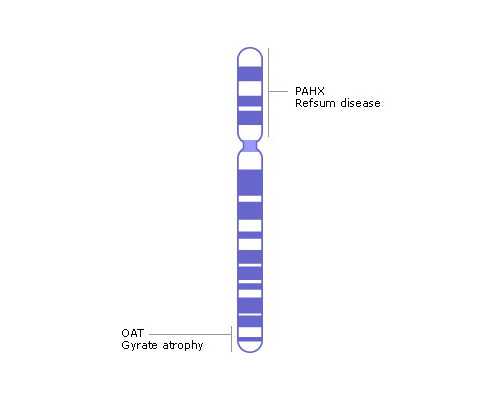 深圳2020想做代妈的找我～想找个农村女代孕怎样
