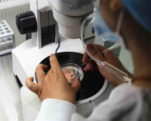 深圳代孕服务-深圳代孕产子费用【安全放心，用专业代孕孕育未来】