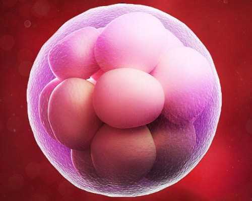 深圳助孕谁做过-深圳代生得多少钱-深圳代生妻子的双胞胎