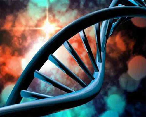 代孕包成功也抗人吗_代生小孩有哪些中介_代孕胃