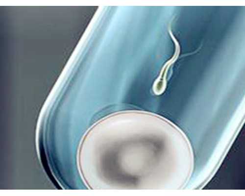 成都单身女性生子落户