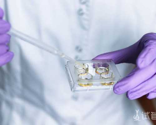 深圳代怀宝宝_深圳代怀生男孩【深圳代孕未来，圆梦你我】