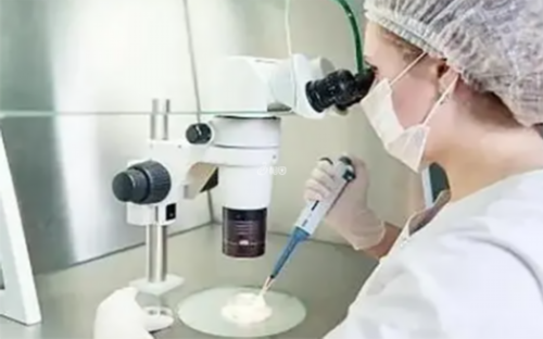 供卵试管公司哪家大,呼和浩特哪家医院能做供卵试管不用排队？