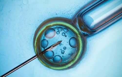 深圳找代孕母-深圳怎么能找到代孕机构【孕育生命的摇篮,权威的专业机构】