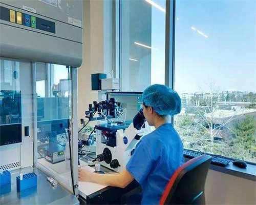 组织借腹生子犯法吗_代孕能不能吃蛙