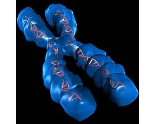 天津辅助生殖中心，2026天津生殖助孕医院排名？试管助孕机构名单参考？