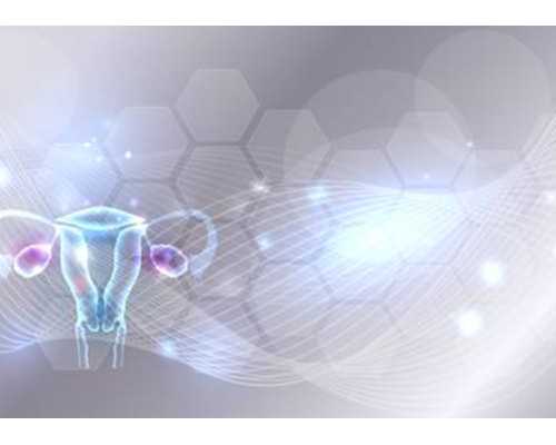 天津正规的供卵试管助孕,【天津正规医院供卵试管成功的姐妹】我怀儿子的征