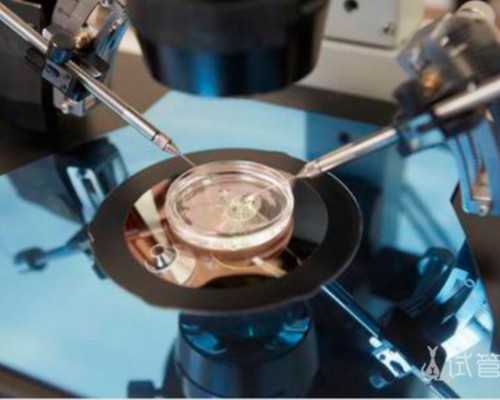 供卵试管包成功生女孩多少钱_代生网真假